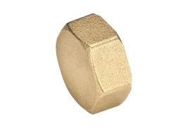 Female plug