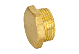 Male plug